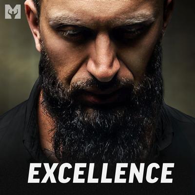 Excellence (Motivational Speech)'s cover