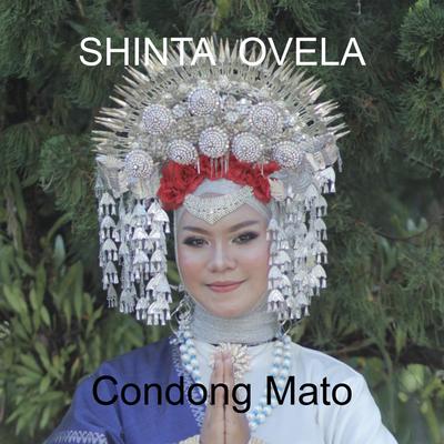 Shinta Ovela's cover