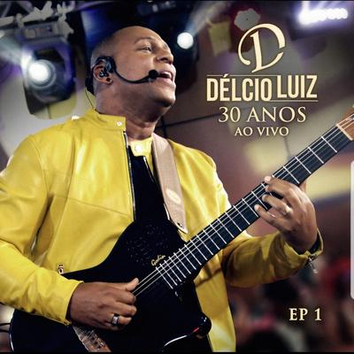 O Amor e o Desejo (Ao vivo) By Delcio Luiz, Xande De Pilares's cover