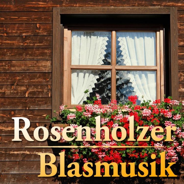 Die Rosenholzer Blasmusik's avatar image