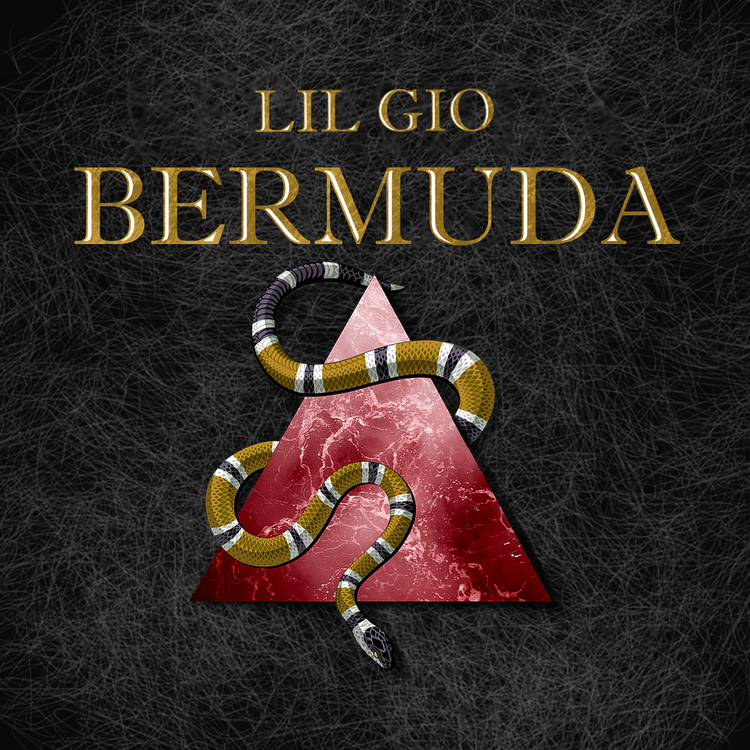 Lil Gio's avatar image