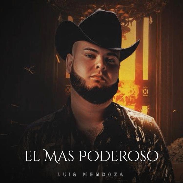 Luis Mendoza's avatar image