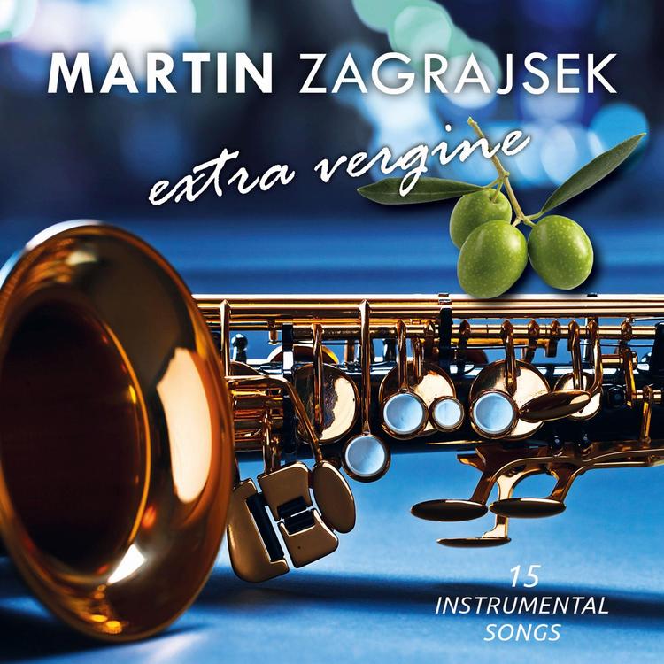 Martin Zagrajsek's avatar image
