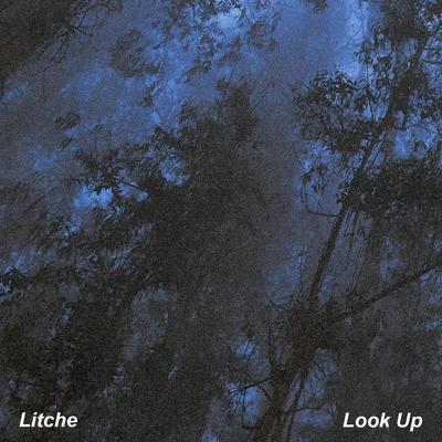 Look Up By Litche's cover