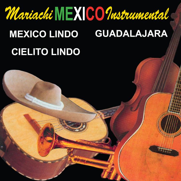 Mariachi México's avatar image