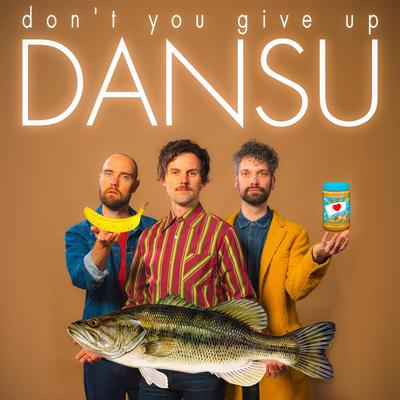 Don't You Give Up By Dansu's cover