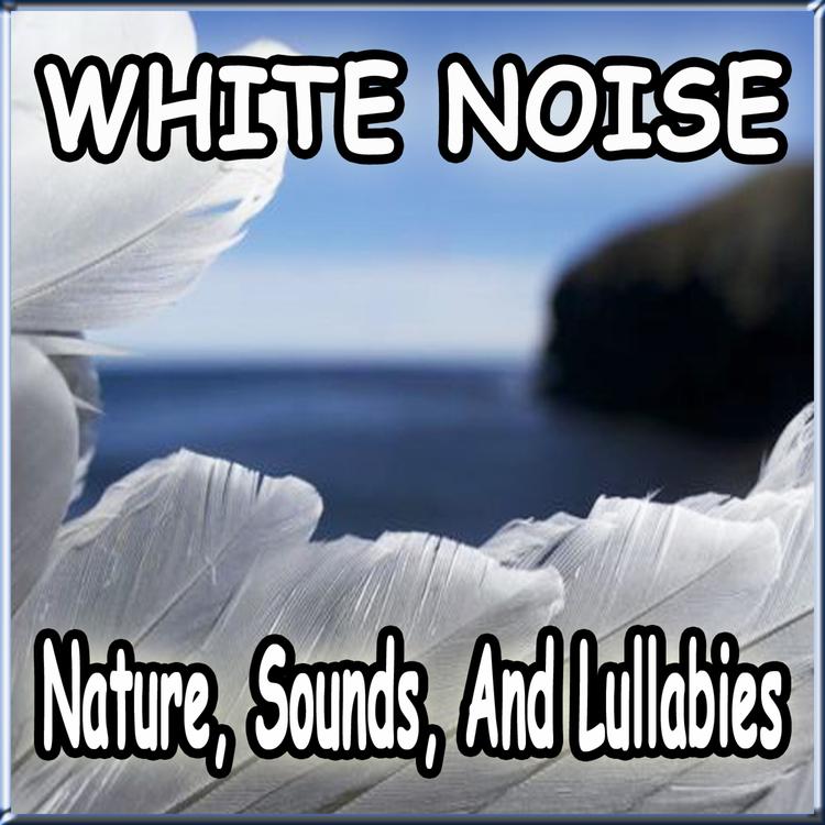 White Noise Baby Sleep Care Masters's avatar image