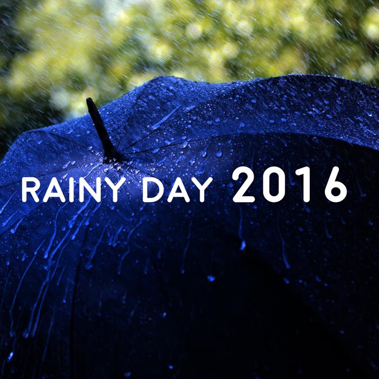 Rainy Day 2016's avatar image