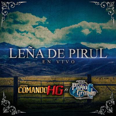 Leña de Pirul (feat. Banda Playa Grande) (en vivo)'s cover