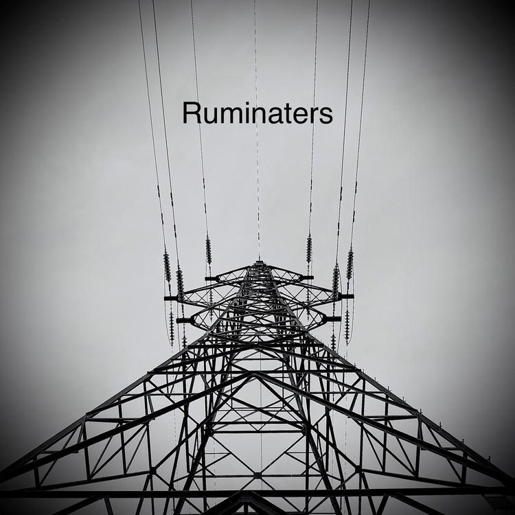 Ruminaters's avatar image