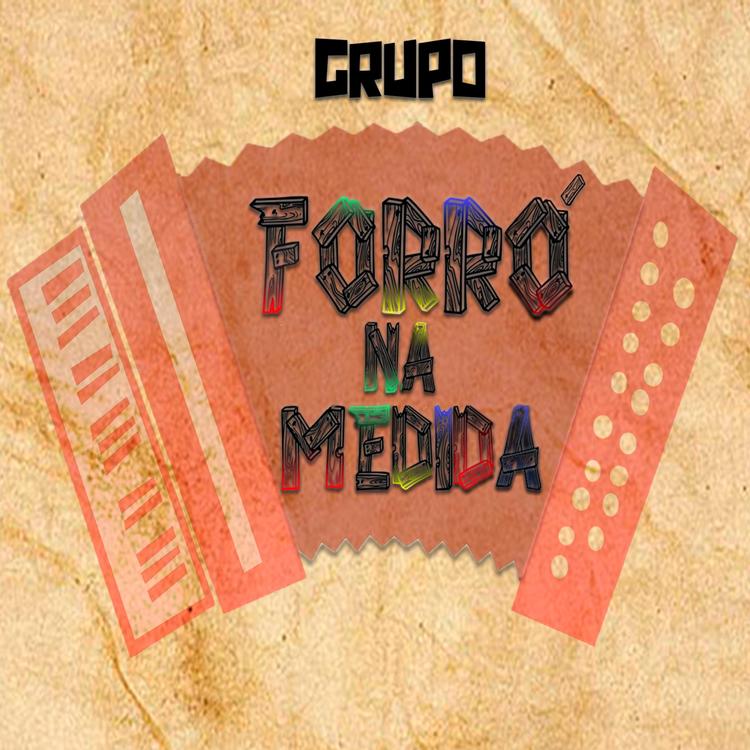 Grupo Forró na Medida's avatar image