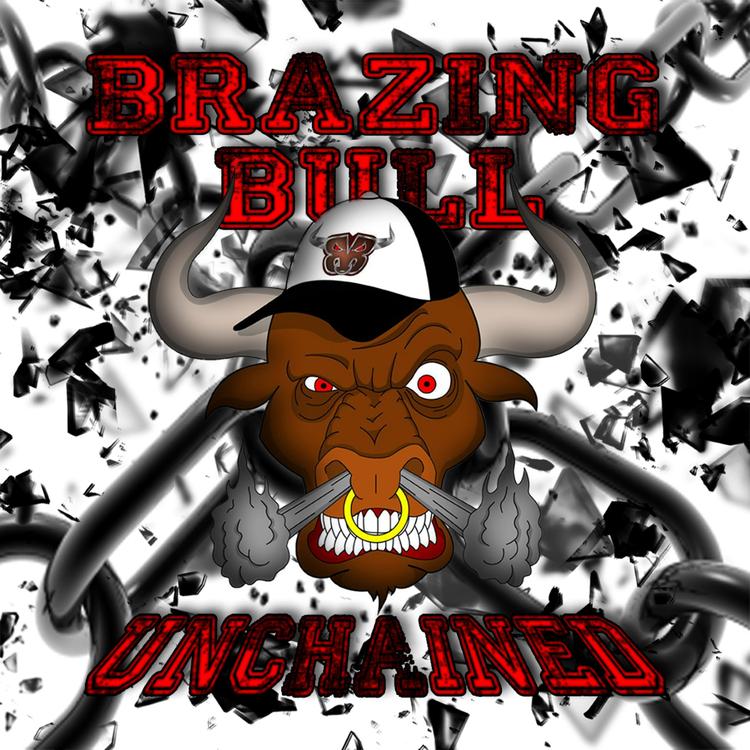 BraZing Bull's avatar image