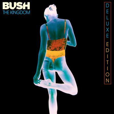 Ghosts In The Machine By Bush's cover