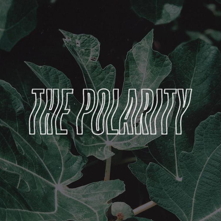 The Polarity's avatar image