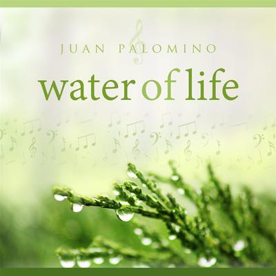 Open My Eyes By Juan Palomino's cover