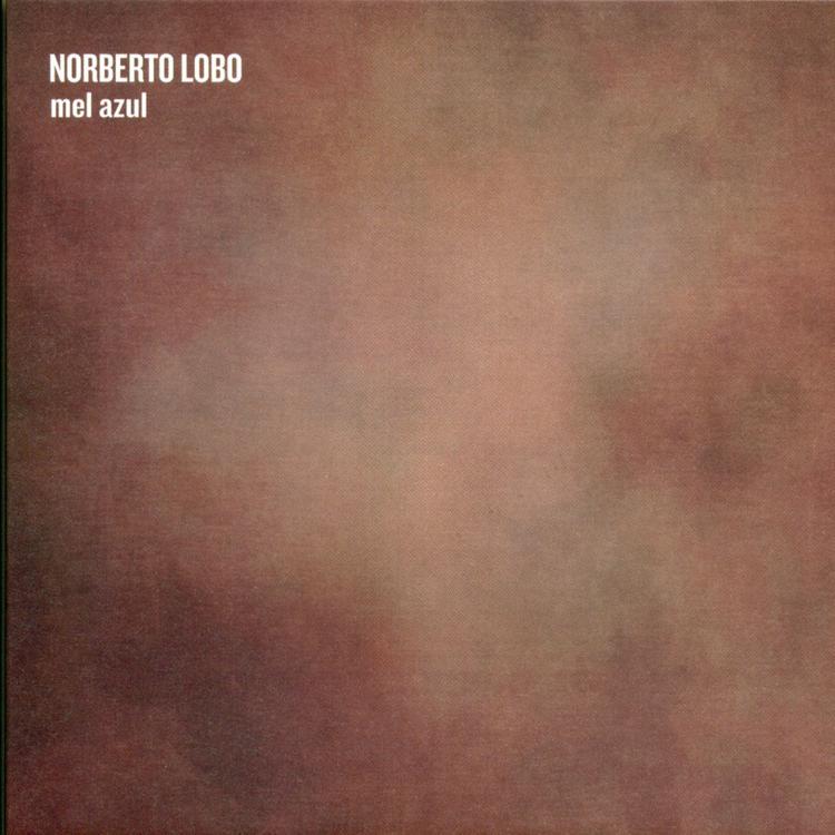 Norberto Lobo's avatar image