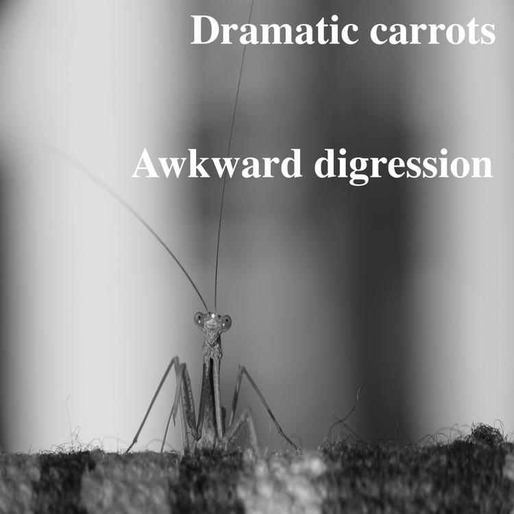 Dramatic Carrots's avatar image