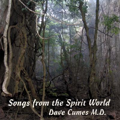 Songs from the Spirit World's cover