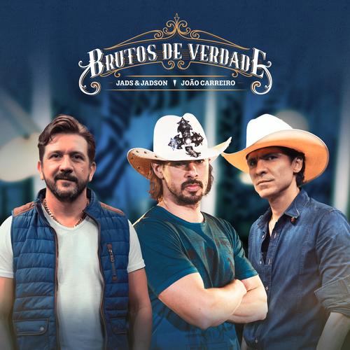 sertanejo novas's cover