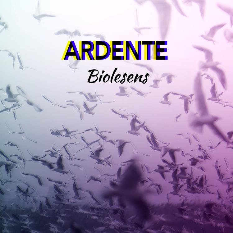Ardente's avatar image