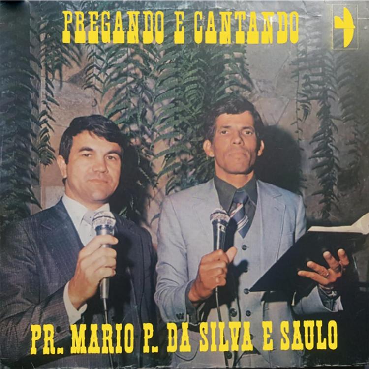 Pr. Mario P. da Silva e Saulo's avatar image