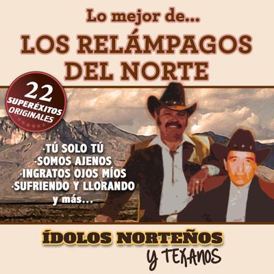 22 Superexitos (Idolos Norteños y Texanos)'s cover