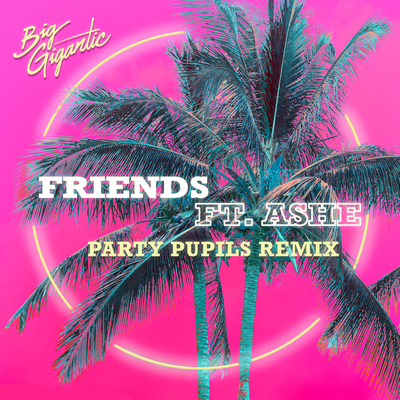 Friends (Party Pupils Remix) By Big Gigantic, Ashe's cover