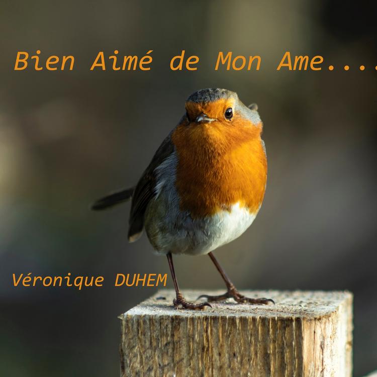 Véronique Duhem's avatar image
