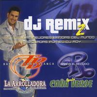 DJ Remix 2's avatar cover