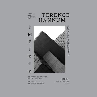 Impiety By Terence Hannum's cover