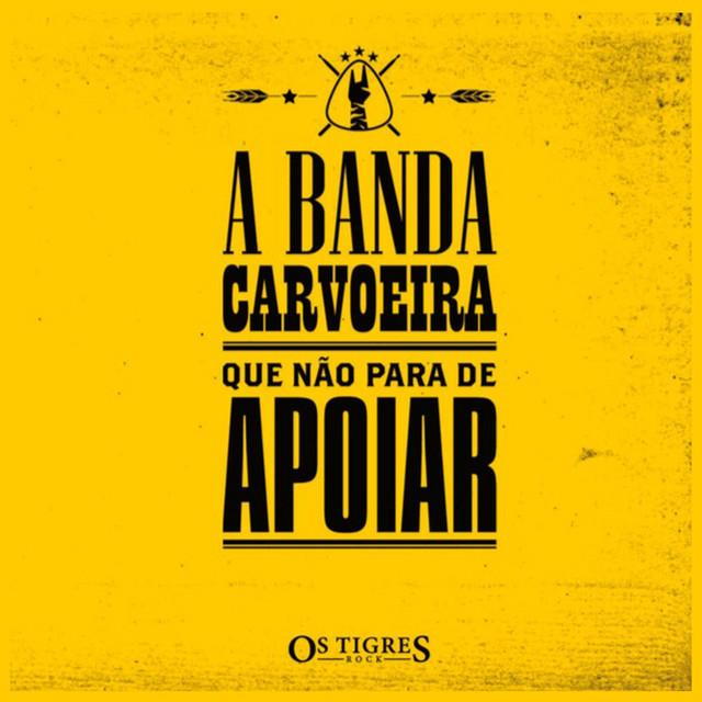 Os Tigres Rock's avatar image