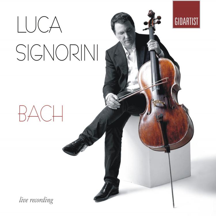 Luca Signorini's avatar image