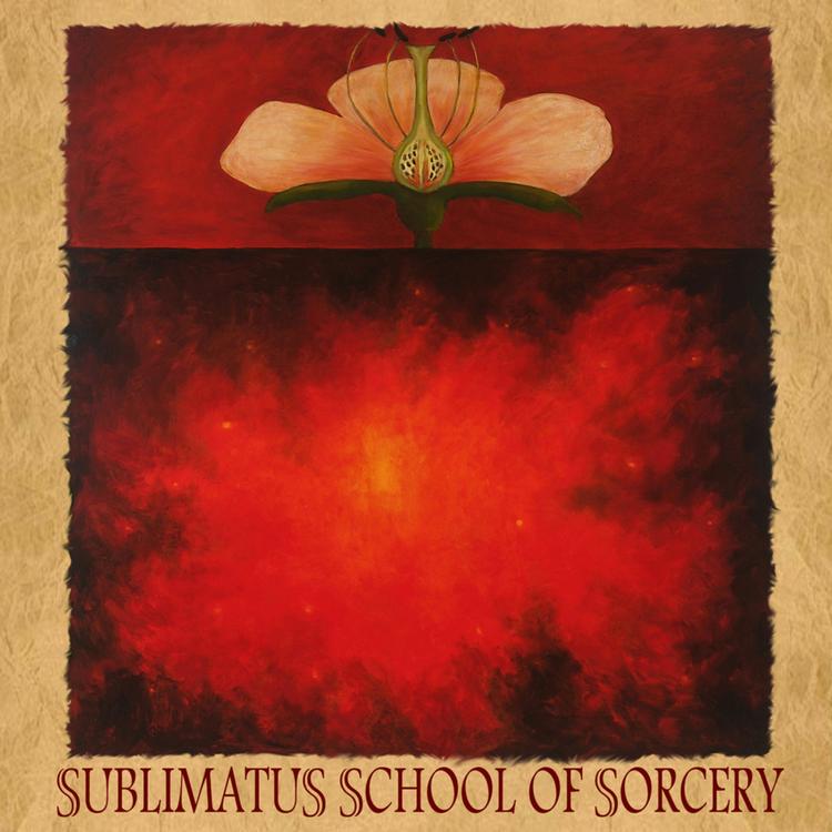 Sublimatus's avatar image