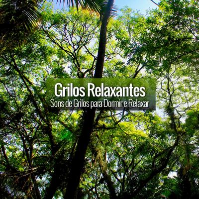 Sons de Grilos Cantando a Noite Na Floresta By Grilos Relaxantes's cover