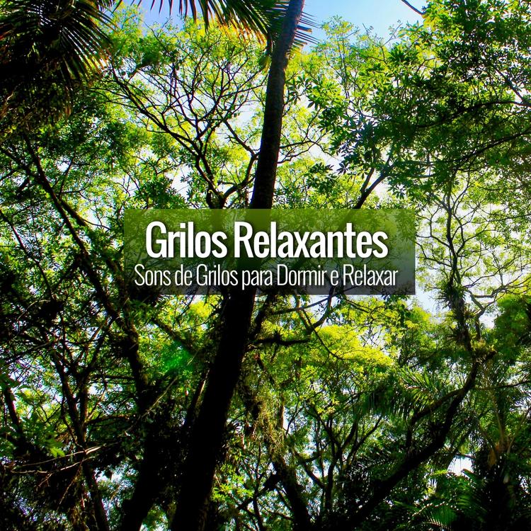 Grilos Relaxantes's avatar image