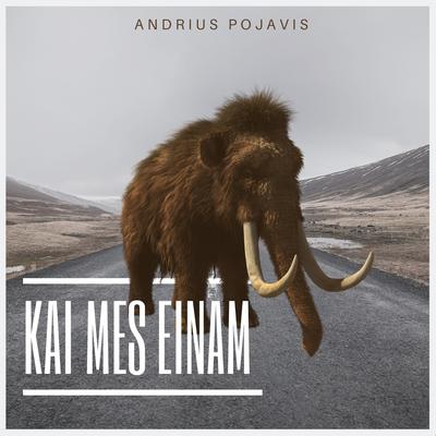 Kai Mes Einam By Andrius Pojavis's cover