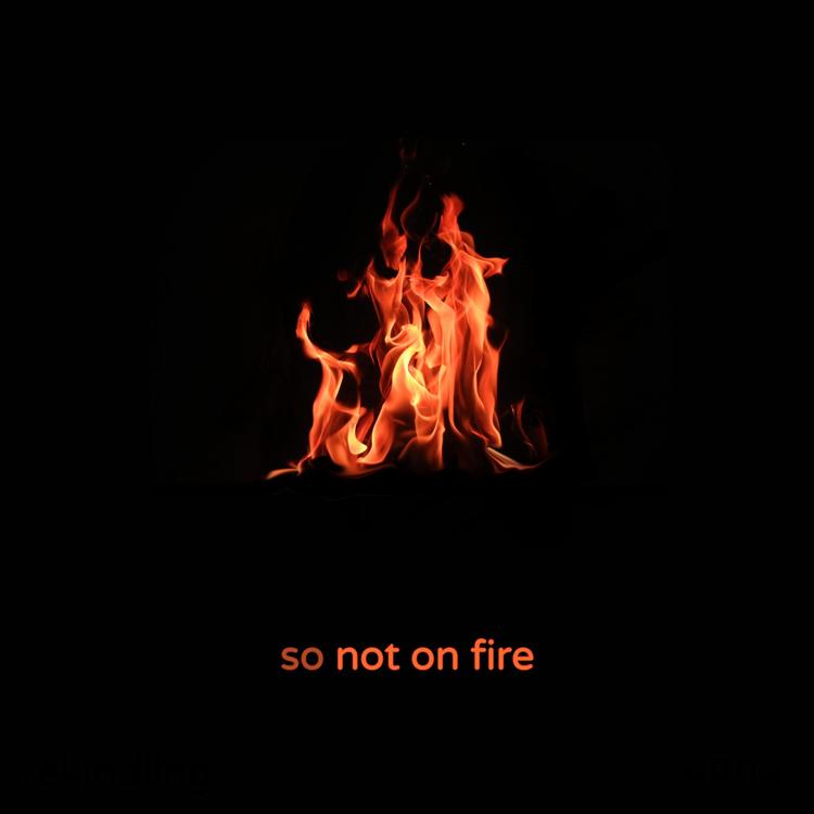 Not on Fire's avatar image