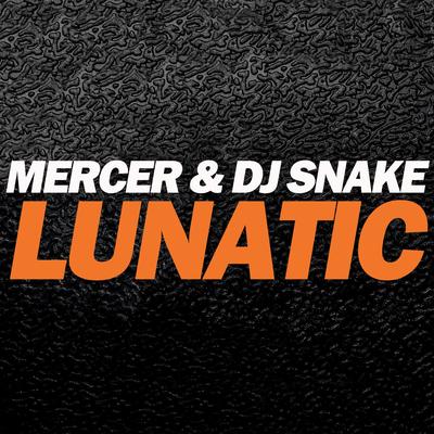 Lunatic By Mercer, DJ Snake's cover