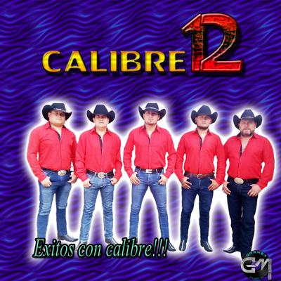 Exitos Con Calibre's cover