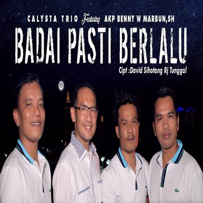 Calysta Trio's cover