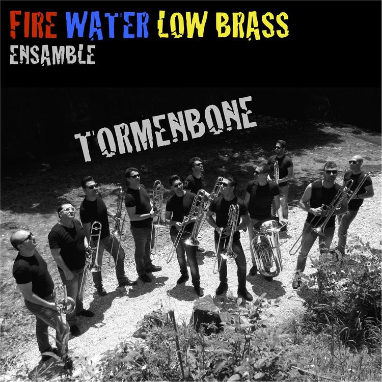 Fire Water Low Brass's avatar image