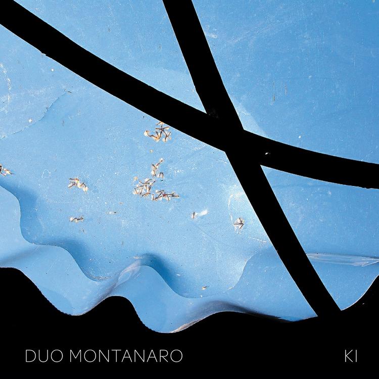 Duo Montanaro's avatar image