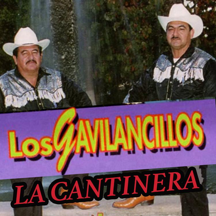 Los Gavilancillos's avatar image