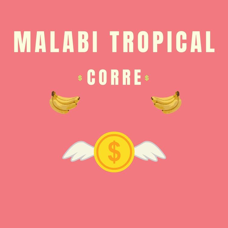 Malabi Tropical's avatar image