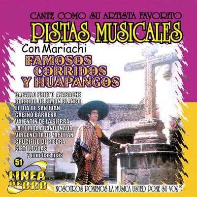Pistas Musicales Con Mariachi Famosos Corridos y Huapangos's cover