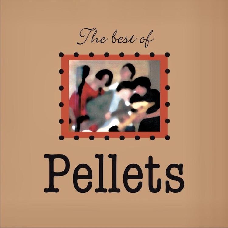 Pellets's avatar image