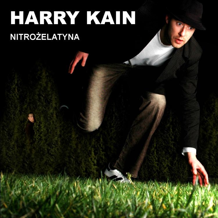 Harry Kain's avatar image