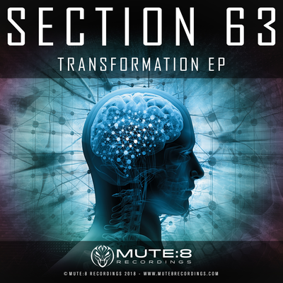 The Bleeps (Original Mix) By Section 63's cover