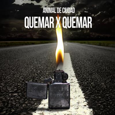 Domingo By Animal de Ciudad, Vero Pérez's cover