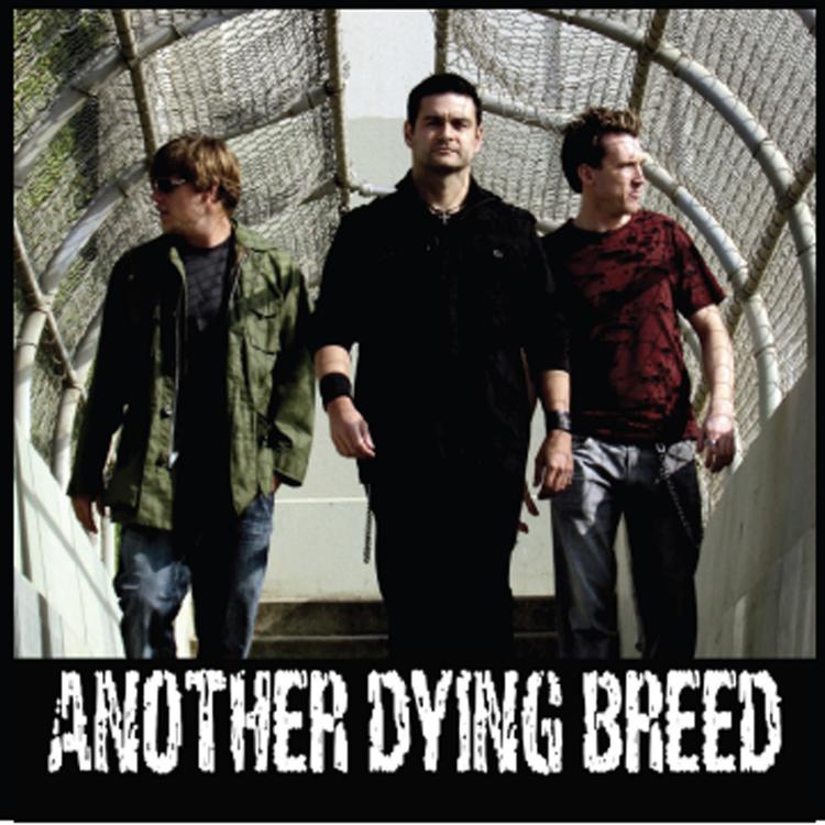 Another Dying Breed's avatar image